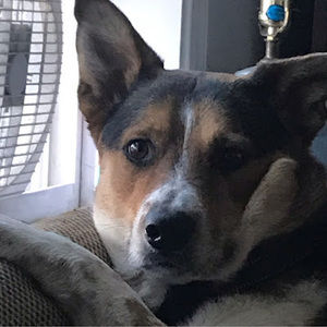 Meet your Posher, Andrew